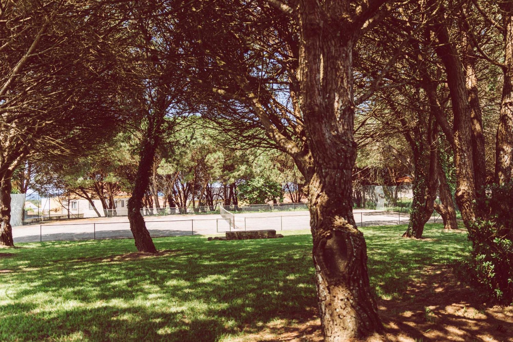 Quinta Do Monteverde Віана-ду-Каштелу Екстер'єр фото